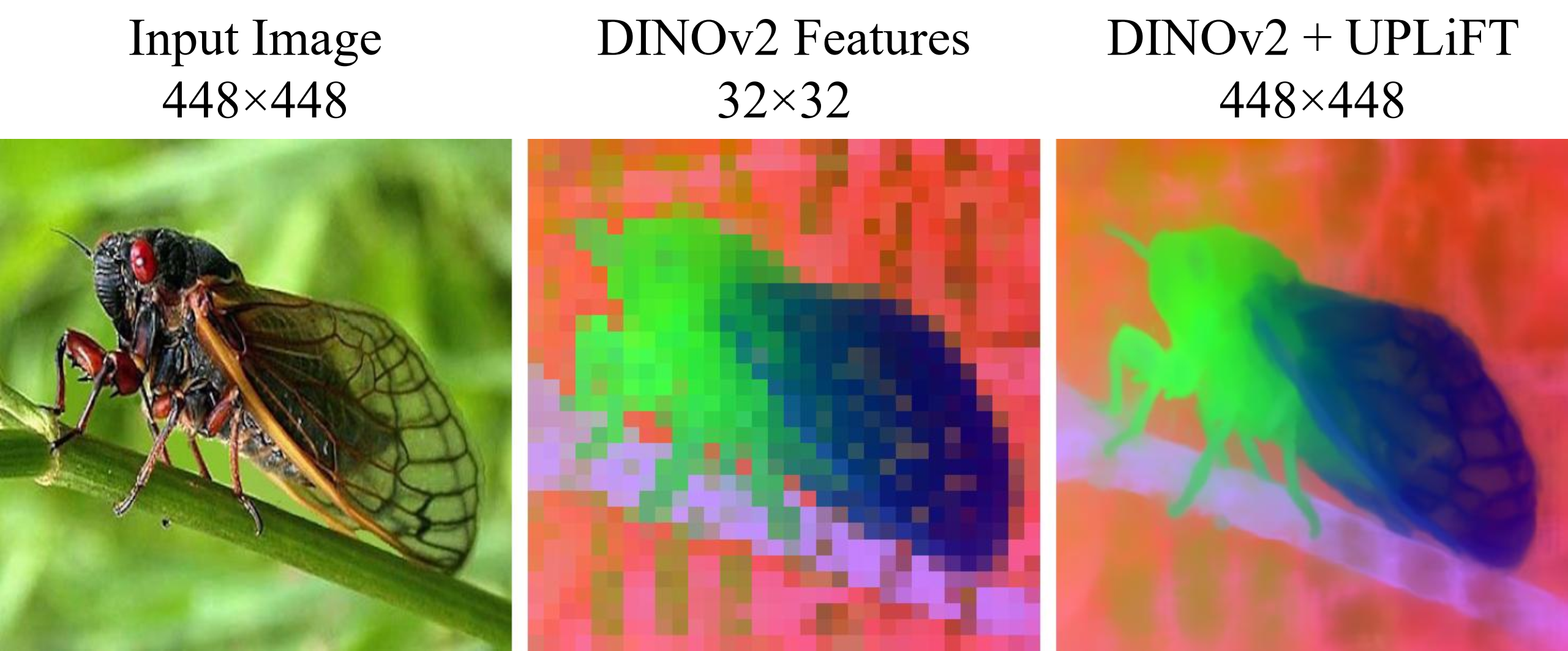 UPLiFT: Efficient Pixel-Dense Feature Upsampling with Local Attenders
